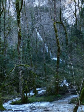 cascade de la Fouge