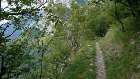 Sentier aérien avec vue sur...