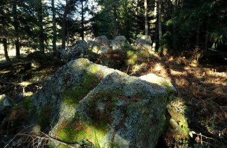 Dans le bois à l’est.