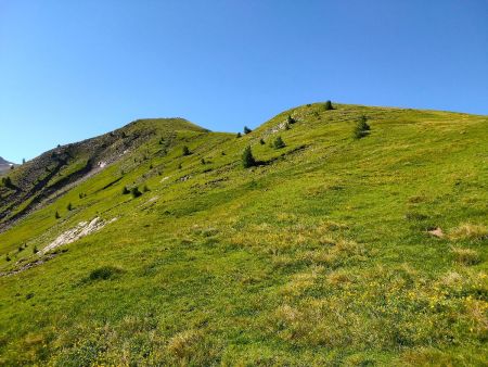 Du col, au sud-sud-est, la large crête en pelouse de Bonaparré