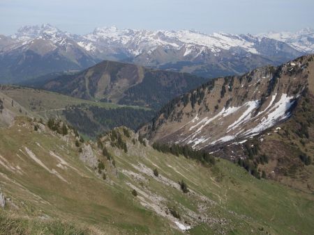 Regard vers le col de la Bolire, le Mont Chery et les sommets du Haut-Giffre.