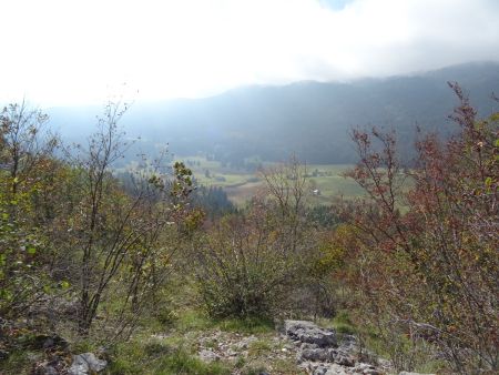 En vue des alpages du Mariet