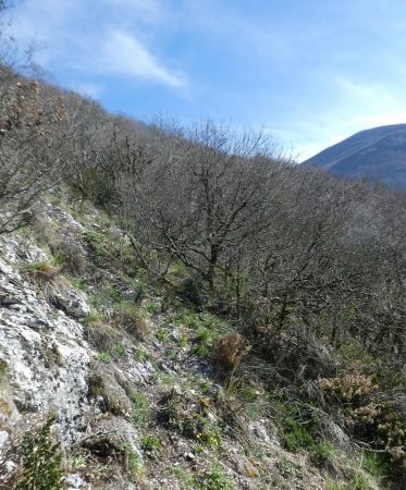 Sur le sentier