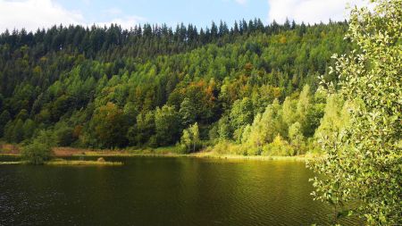 Sur la rive sud du Sankenbachsee.