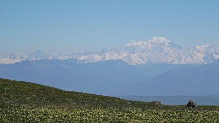 Mont Blanc