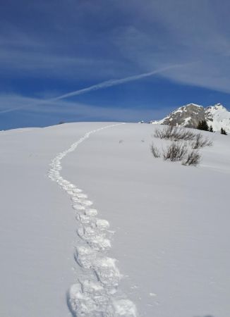 Cheminement sur la crête vers la cabane du Petit Pâtre 