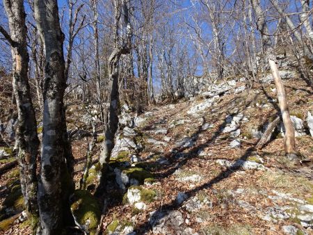 Sur la Montagne de Bange