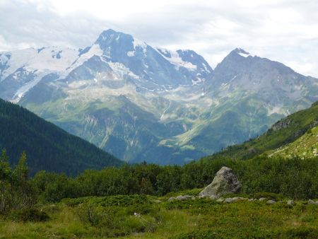 Montée face au Mont Pourri.