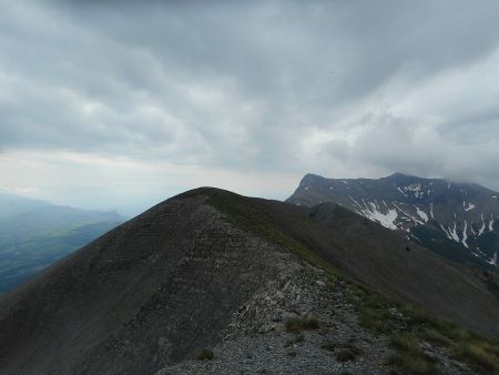 Dans le rétro