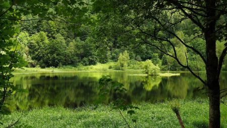 Sankenbachsee.