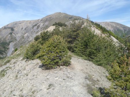 Sur la crête de la Colle...