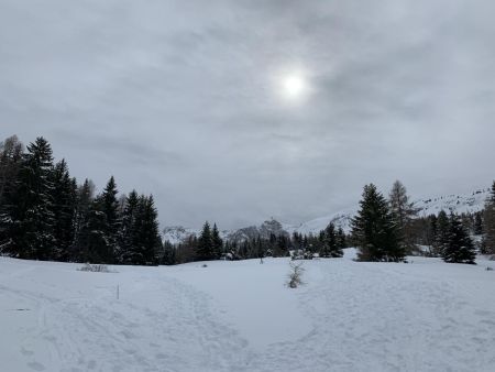 Plateau de Bure. 