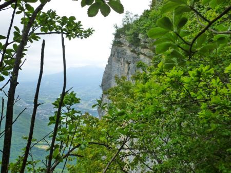 Au loin, la Chartreuse