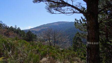 Vers la Chaux de Toureyre.