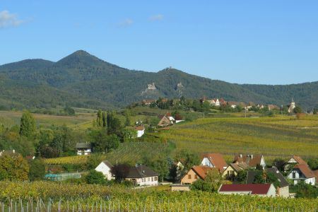 Depuis la Colline des Amandiers, zoom sur Zellenberg, devant les 3 châteaux de Ribeauvillé et le Rocher de la Paix d’Udine. Les maisons au 1er plan font partie du village de Beblenheim.