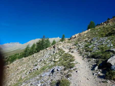 Montée douce vers le Col Tronchet