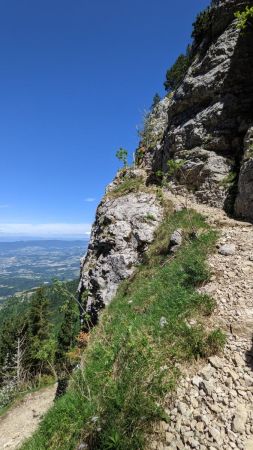 Dans le grand montoir