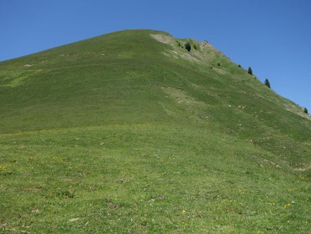 Montée droit dans l’herbe vers la Pointe de la Golèse...