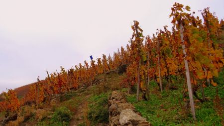 Remontée par Côte Brune.