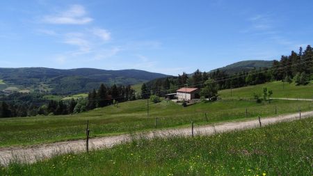 Vers le col de la Croix de Chaubouret.