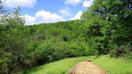 Descente dans le ravin de la Félodière.