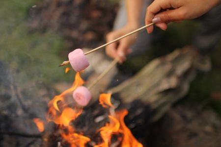 Vive les chamallows grillés !!