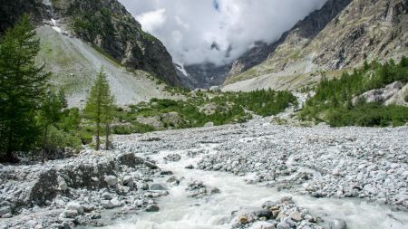 Sous le Glacier Blanc