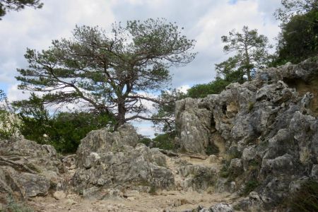 Sentier Brunet