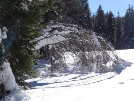 Chemin du Mariet