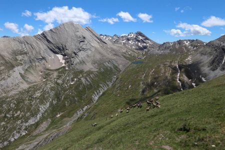 Face à la Voie Normale de la Taillante.