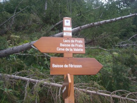 Balise dans ce vallon où les arbres ont bien souffert d’un hiver rigoureux