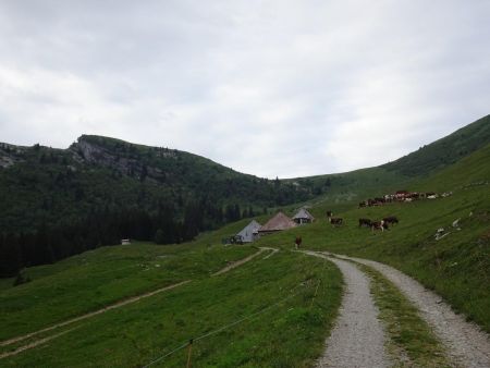 Chalets des Arbets