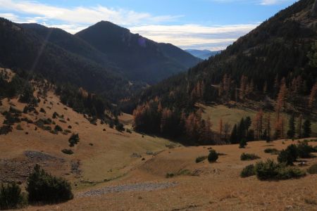 Le vallon de Tranchemule et ses quelques mélèzes !