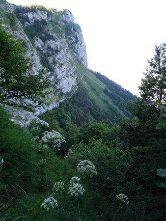 Dans la falaise