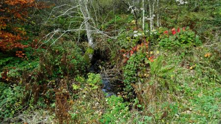 Changement de versant au passage de la Bretonnière.