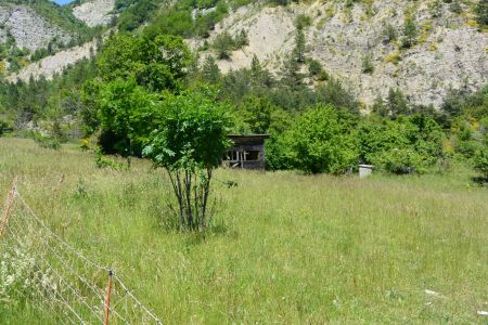 Quelques détails pour ne pas louper le départ : repérer cette arbrisseau et surtout la cabane en bois sur la droite de la piste