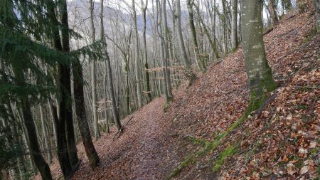 Descente vers la Biolle