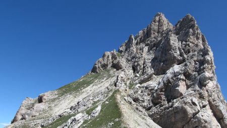 Le maître des lieux ...