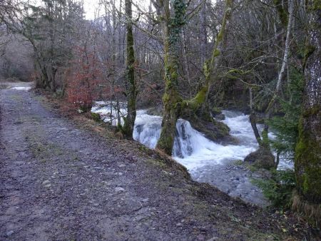 Le long du ruisseau du Bard