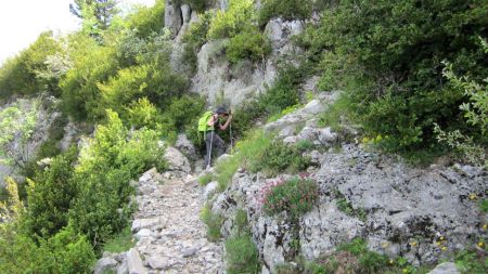 Dans la barre des Dourbes