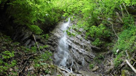 Petite cascade en forêt