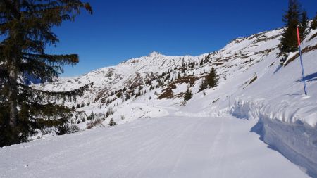 Sur la piste «Touvinettes» qui fait la liaison  entre le Chemin d’Italie et la piste «Tétras».