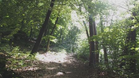 chemin direction la grande jeanne