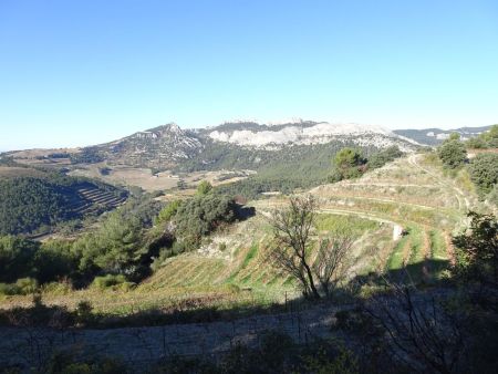 Les Dentelles de Montmirail