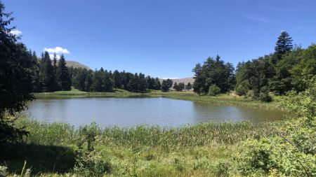 Le lac des Monges, original pour sa situation en pleine forêt, mais pas mémorable