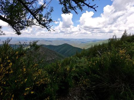 Sur la draille de transhumance, les Cévennes à perte de vue !