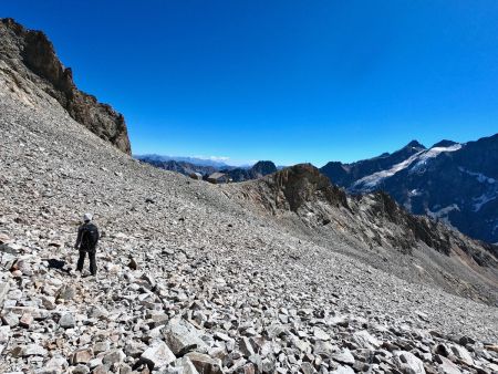 Bientôt de retour au refuge.