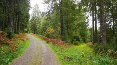 DDépart du sentier qui descend vers le panneau «Schnitzberg».