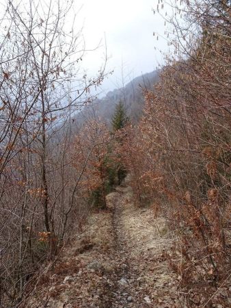 L’Épine : sentier de retour