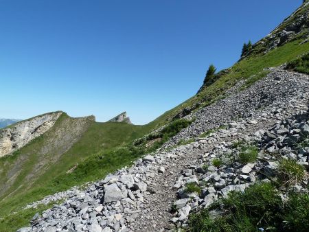 Dans la montée